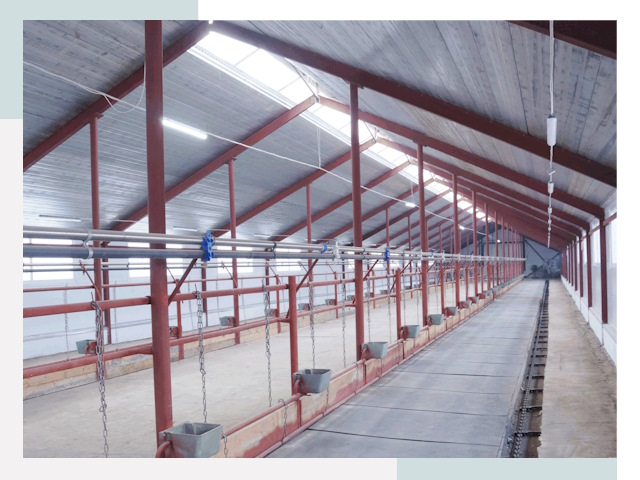 Строительство коровников в Майкопе от 607 руб.