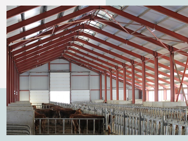 Строительство коровников в Майкопе