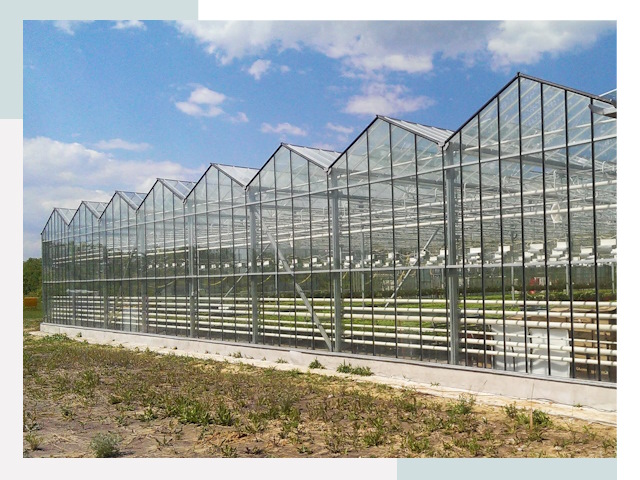 Строительство теплиц в Майкоп от 607 руб. за м²